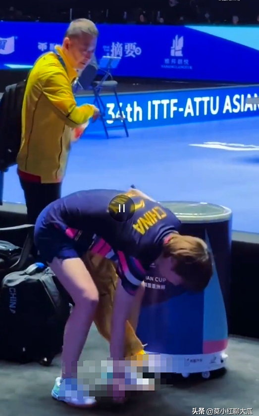 法国羽毛球队碾压马来西亚羽毛球队，马琳送出助攻的简单介绍